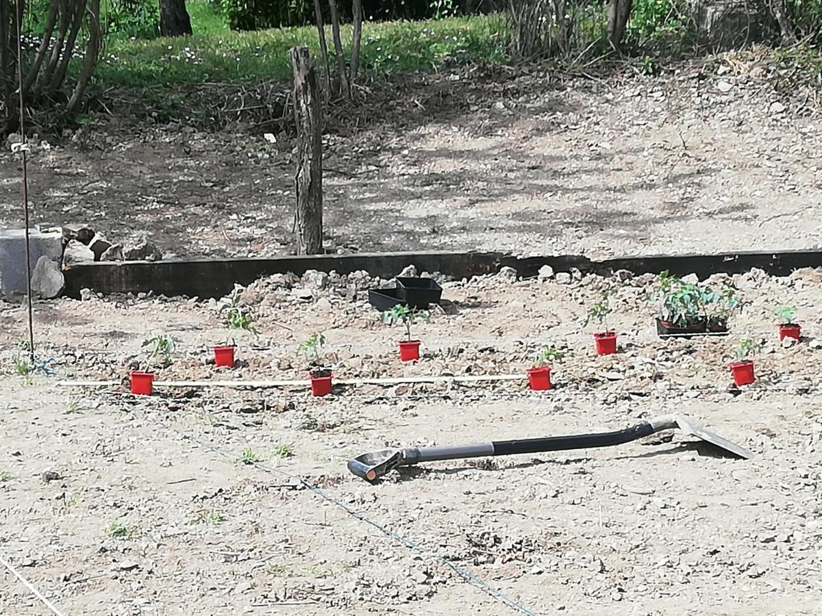 La Colline Des Hauts Bocages Vendeens Ξενοδοχείο Mouchamps Εξωτερικό φωτογραφία
